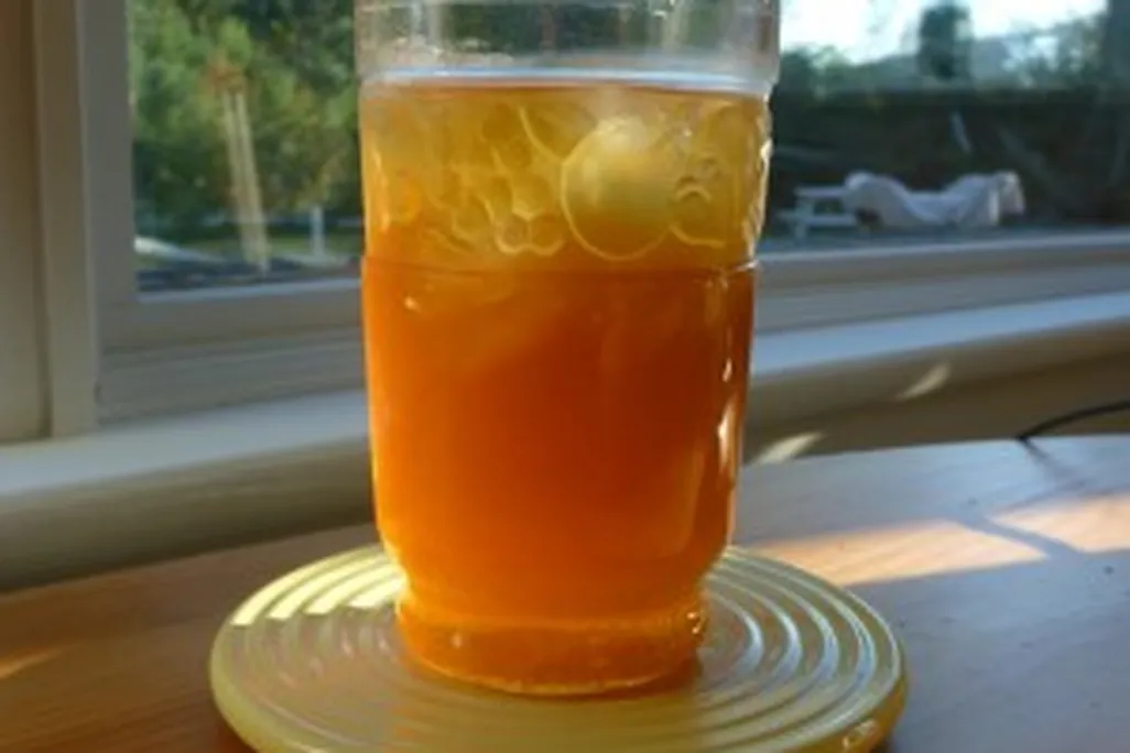 20110520090149switchel-300x400.jpg