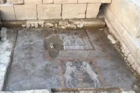 The mosaics date to the third century B.C.E.