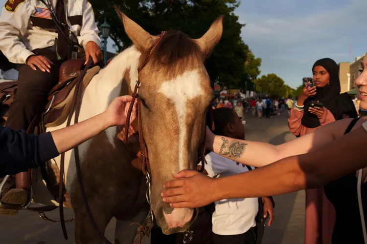 A horse at the Minnesota State Fair receives attention and affection from visitors.