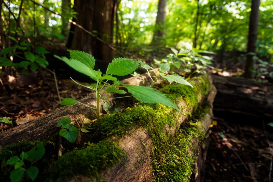 Cycle of Life | Smithsonian Photo Contest | Smithsonian Magazine