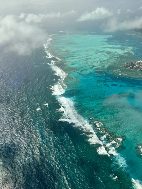 San Andres Great Coral Barrier II. thumbnail