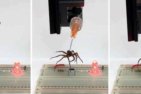 A spider gripper is used to lift a jumper and break a circuit on an electronic breadboard, turning off an LED.&nbsp;