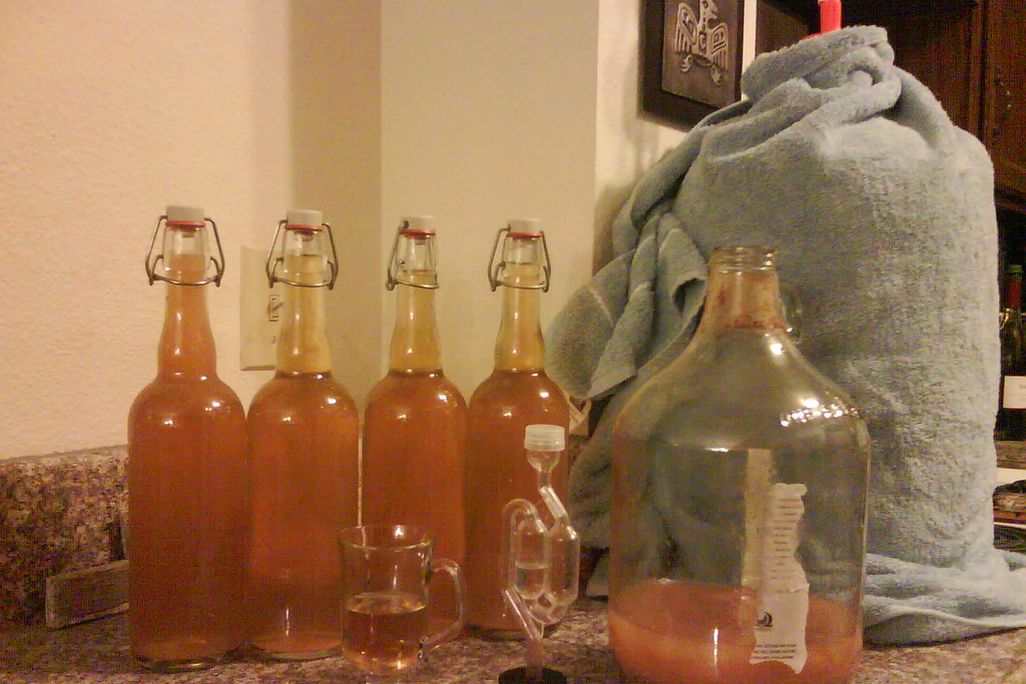 Cider