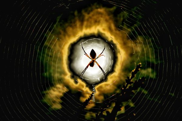Atomic Spider thumbnail