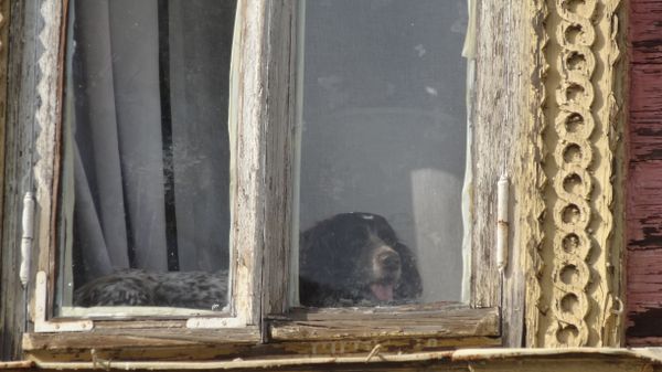 Tired look thumbnail