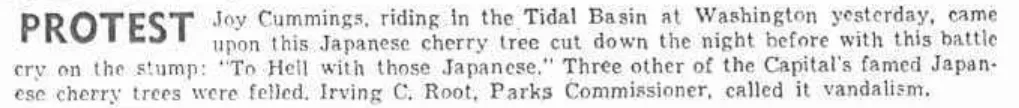 After Pearl Harbor, Vandals Cut Down Four of DC's Japanese Cherry Trees