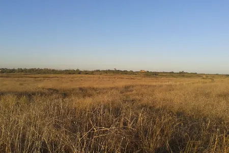 Today, the figurative field of battle has become a literal one: Israel's Sharon Plain.