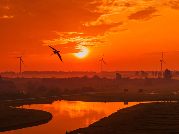 Morning in Yancheng thumbnail