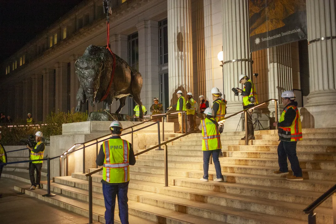 See the 2,500-Pound Bronze Bison as They Arrive at Their New, Permanent Place at the Smithsonian’s National Museum of Natural History