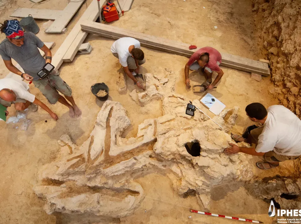 Researchers at an archaeological dig