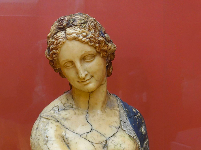 Flora bust in front of red background