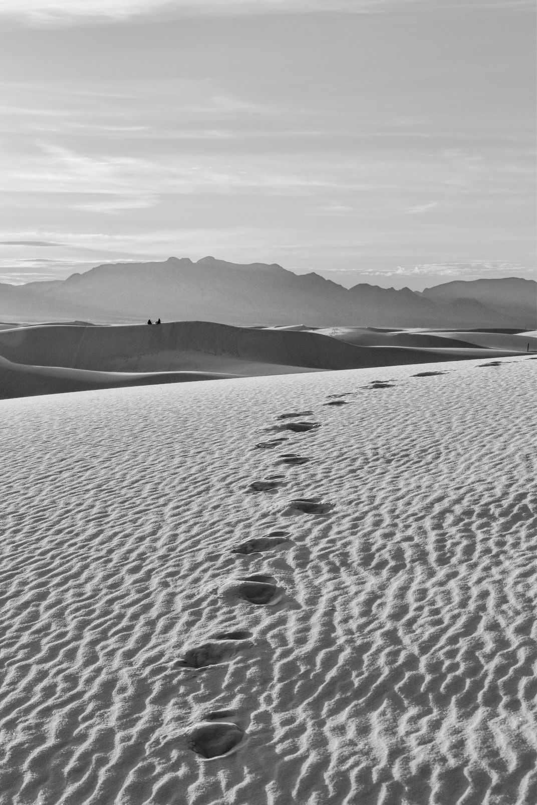 A Picnic in the Dunes | Smithsonian Photo Contest | Smithsonian Magazine