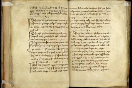 Bald's Leechbook, a tenth-century medical text that contains Anglo-Saxon medical advice and recipes for medicines, salves and treatments