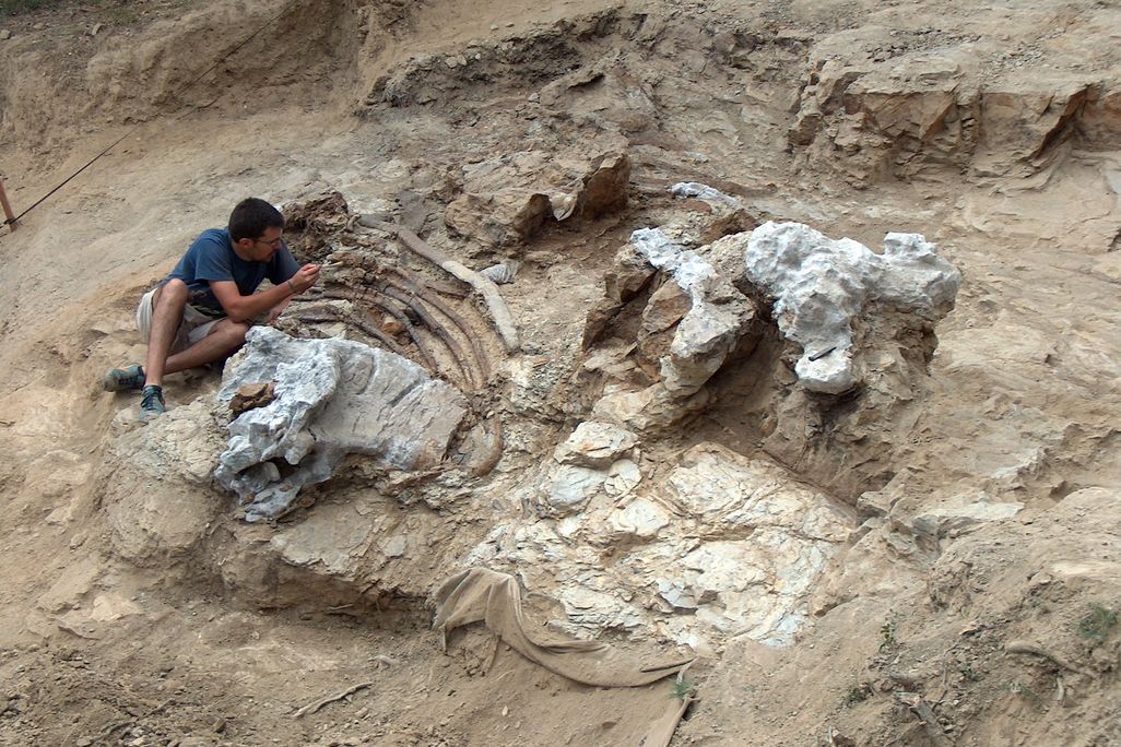 Paleontologists working at dig site