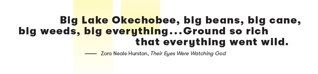 Big Lake Okechobee, big beans, big cane, big weeds, big everything...Ground so rich that everything went wild." —Zora Neale Nurston, Their Eyes Were Watching God