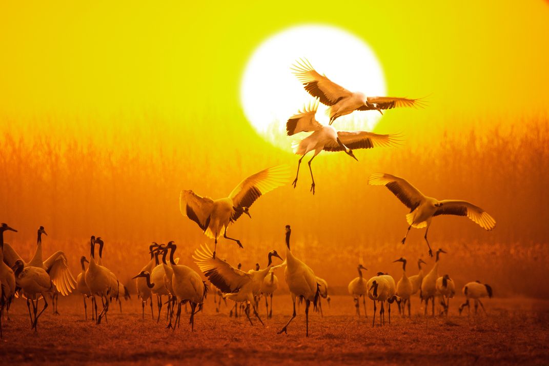 Setting sun | Smithsonian Photo Contest | Smithsonian Magazine
