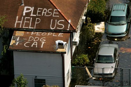 Roofs became pleas for help for people and their pets following Hurricane Katrina
