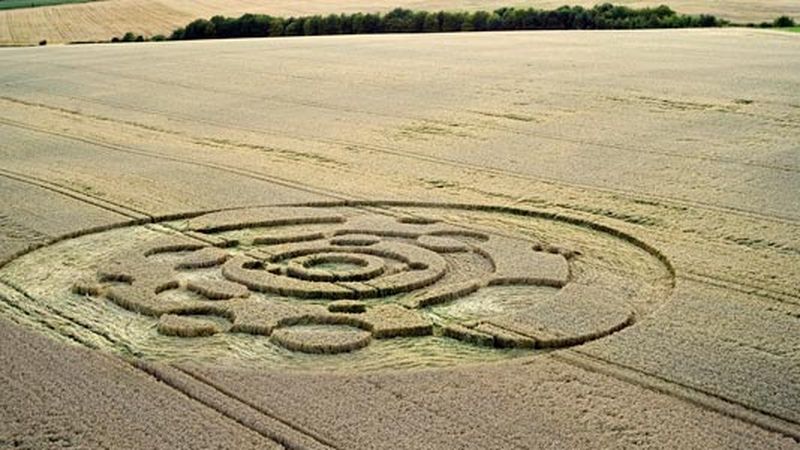 Mysterious Crop Circle Appears Overnight in Small Town