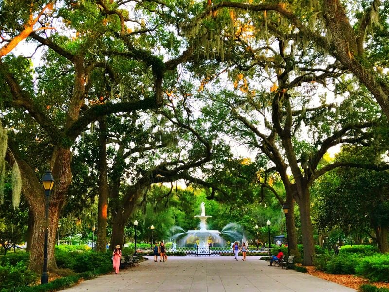 An Evening Stroll through the Park Smithsonian Photo Contest