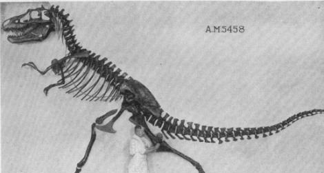 The Tyrannosaurus in Fantasia