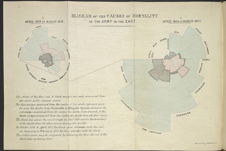 In her seminal rose diagram, Florence Nightingale demonstrated that far more soldiers died from preventable epidemic diseases (blue) than from wounds inflicted on the battlefield (red) or other causes (black) during the Crimean War (1853-56). “She did this with a very specific purpose of driving through all sorts of military reforms in military hospitals subsequent to the Crimean War," says Kieniewicz.