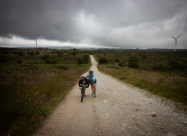 Paula Pedals thumbnail