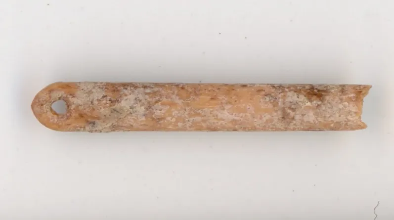 Early needle