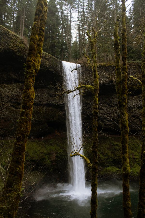 Oregon Waterfall thumbnail
