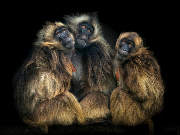 The Three Marys thumbnail