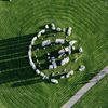 How Far Did Neolithic Britons Carry Stonehenge's Most Famous Boulder? icon