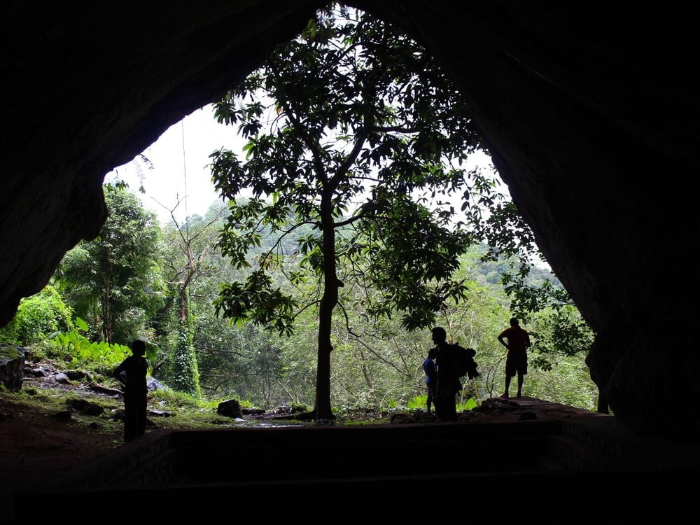 Rainforest Cave