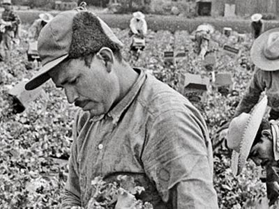 "Bittersweet Harvest," a Smithsonian exhibit about braceros (California, 1956), fits neatly into the new strategy.