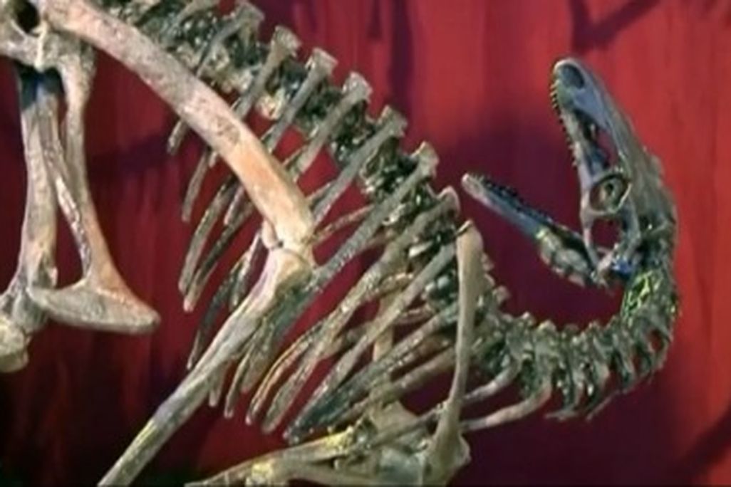 20120703031017new-dinosaur-thumb.jpg