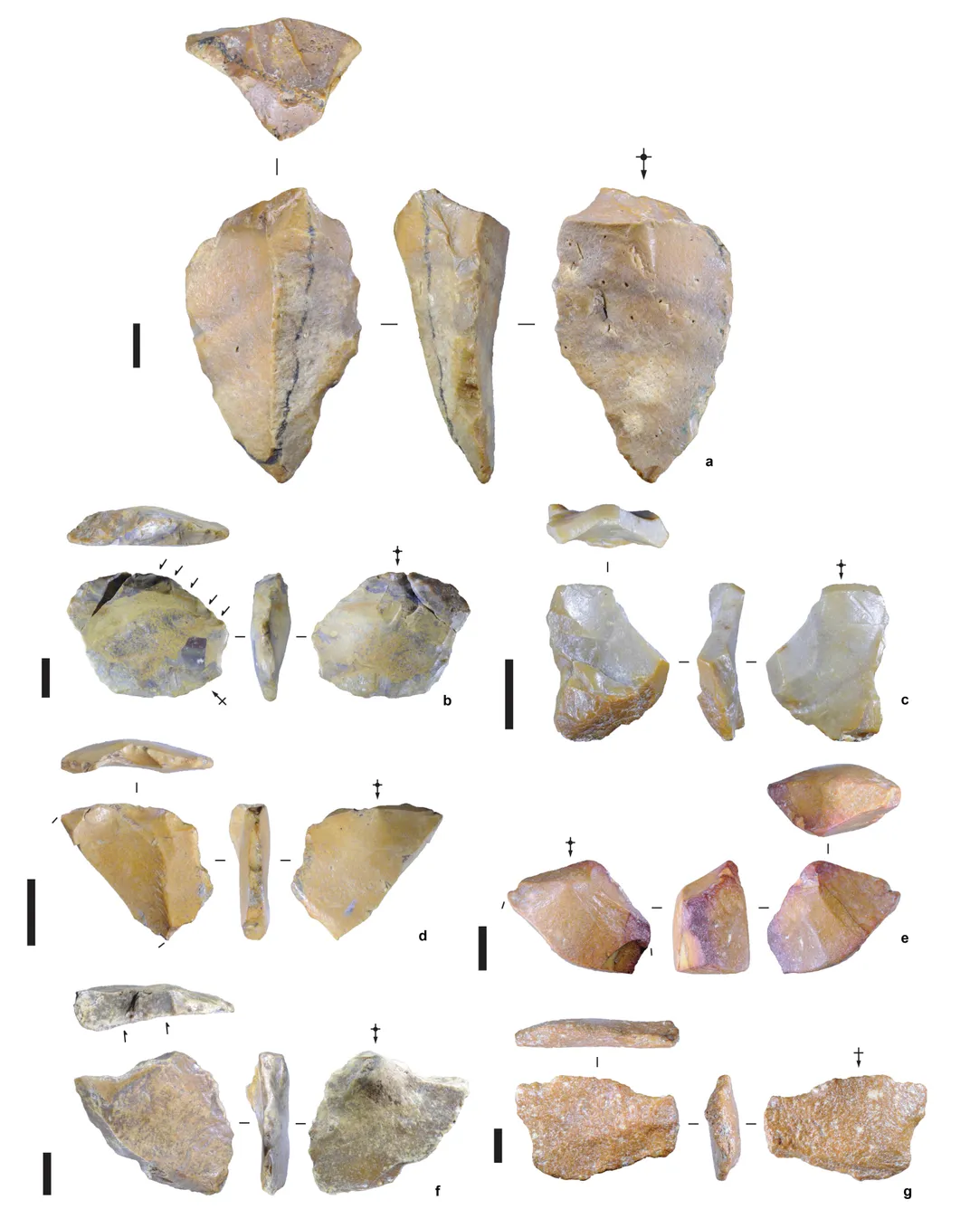 Stone tools from Calio, Sulawesi.