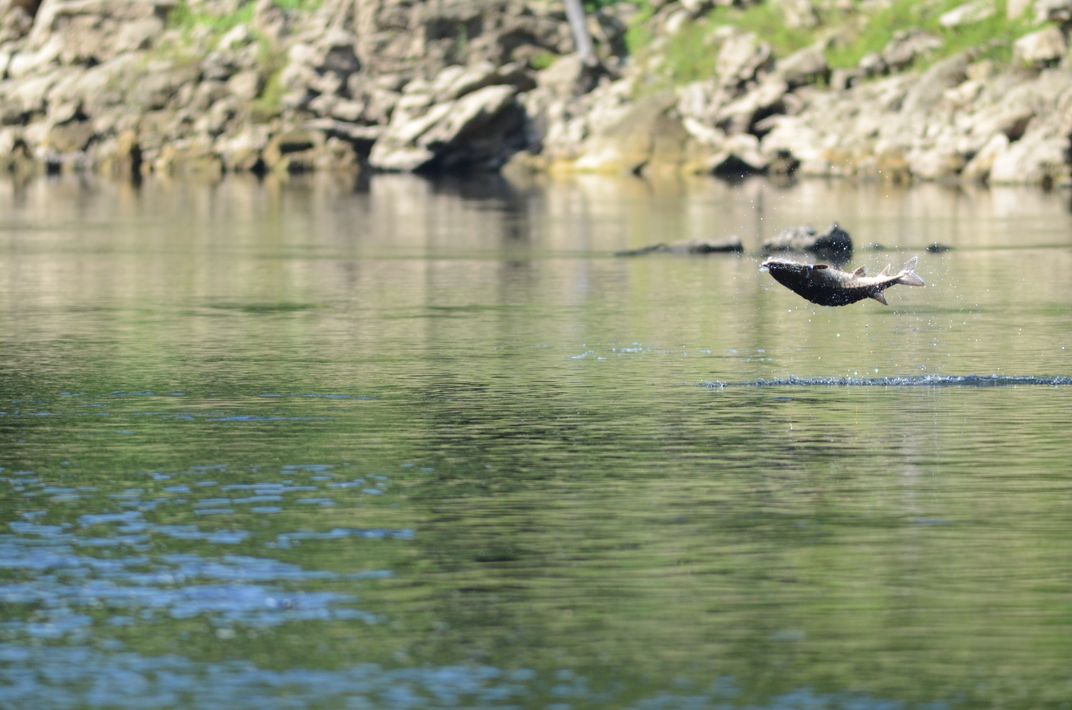 Why Florida’s Lower Suwannee Is an Outdoor Lover's Paradise