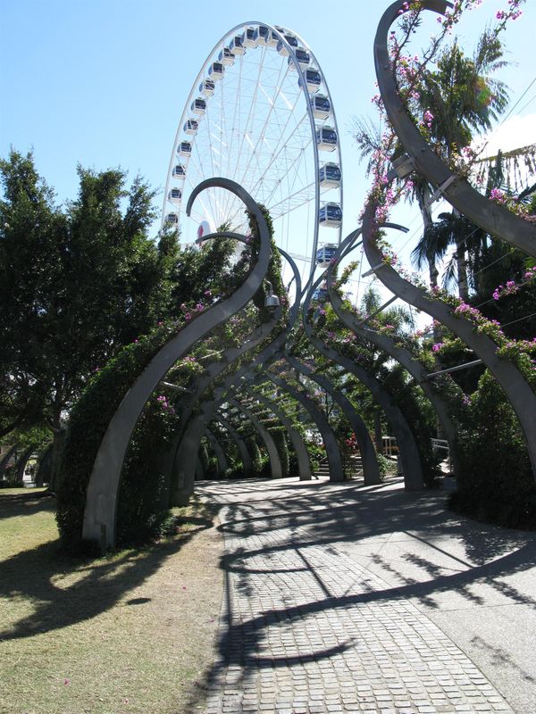 Flowers and ferris wheel in Brisbane thumbnail