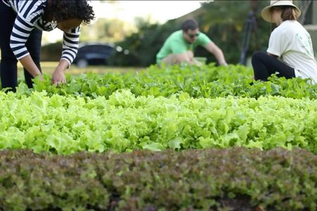 Fleet Farming turns yards into "farmlettes."