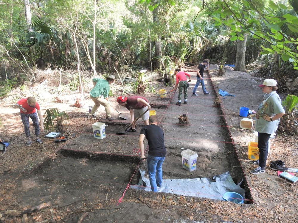 Archaeologists Inspect the Site 