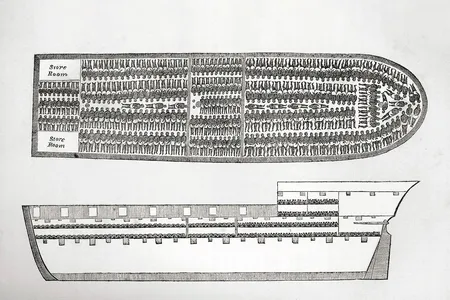 An 18th-century engraving depicting cross sections of a ship used to transport enslaved people from Africa to the Americas and the Caribbean
