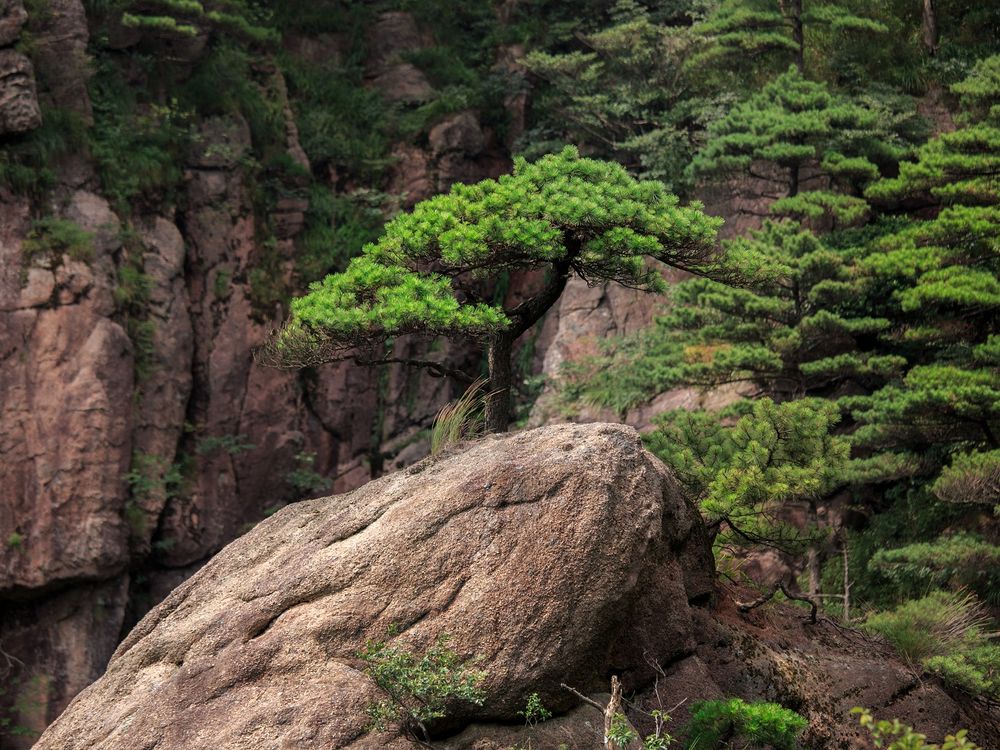 Rocks Are Earth's Greatest Storytellers, Smithsonian Voices