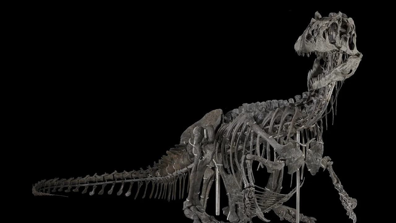 Just Our Type: Museum's Dinosaur Skeleton Becomes the