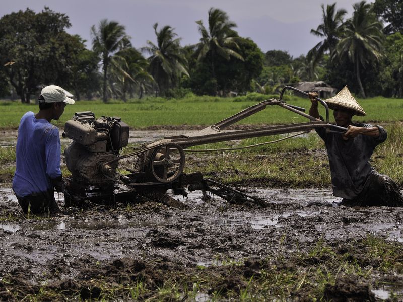 Farmers in Aurora, Philippines hardly move their land tilling machine ...