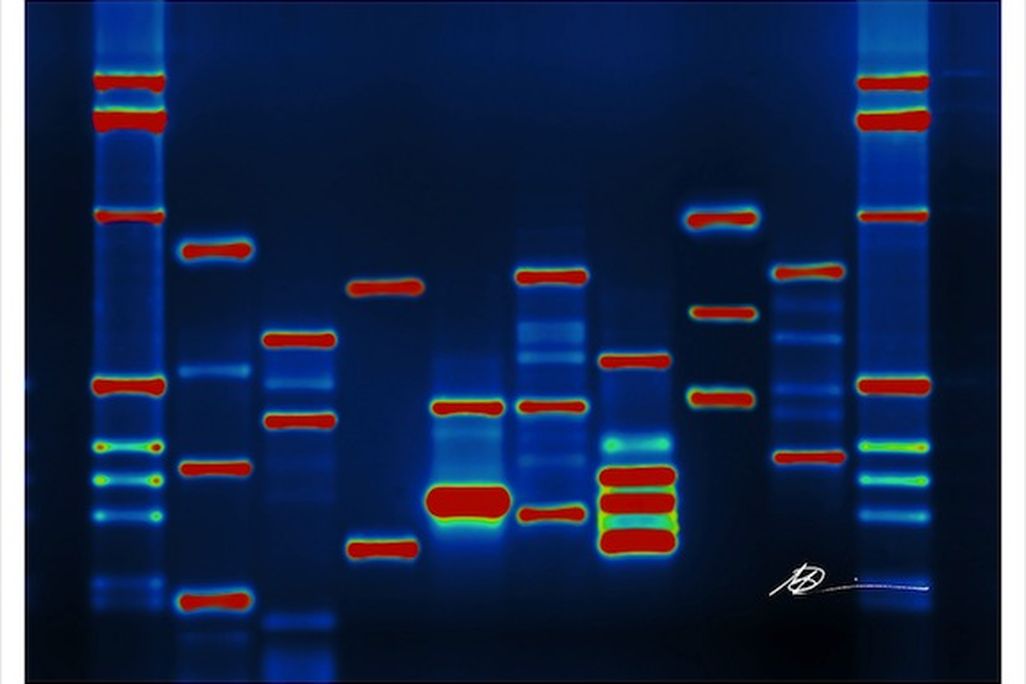 20120906081006DNA.jpg