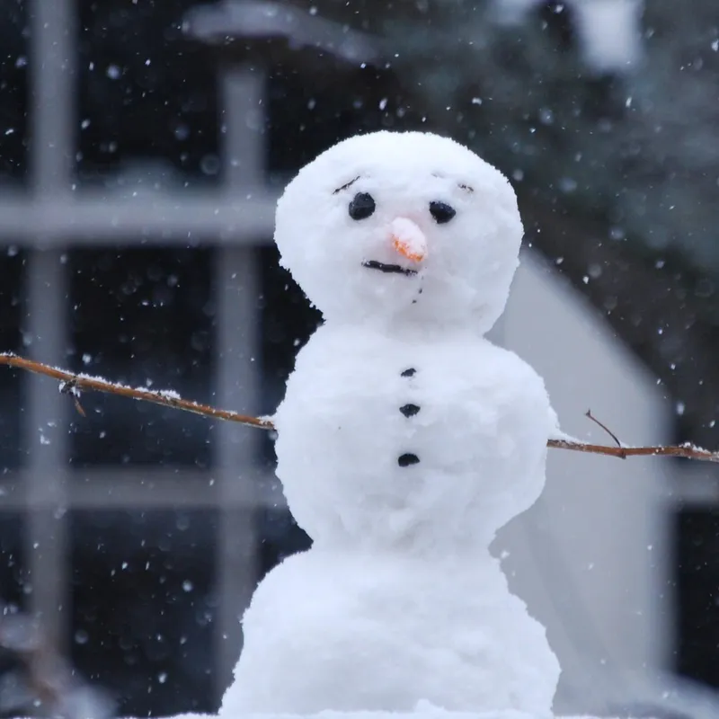 How to build the ultimate snowman, according to science - BBC Science Focus  Magazine