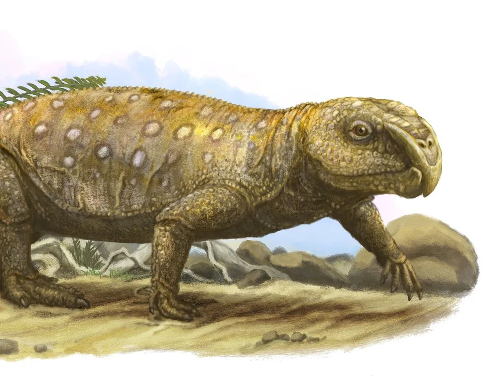 Illustration of rhynchosaur