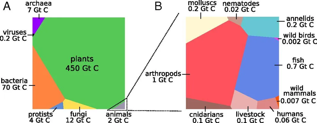 Biomass Chart