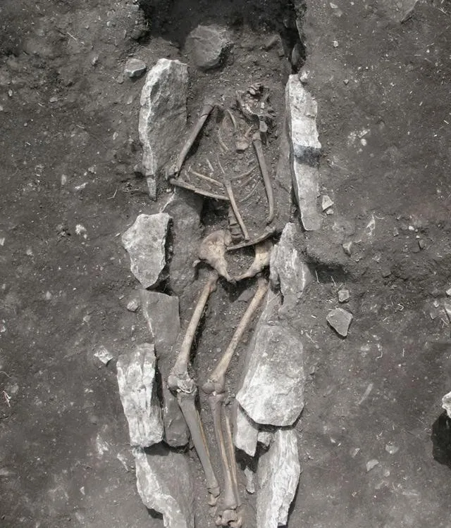Greek Skeleton