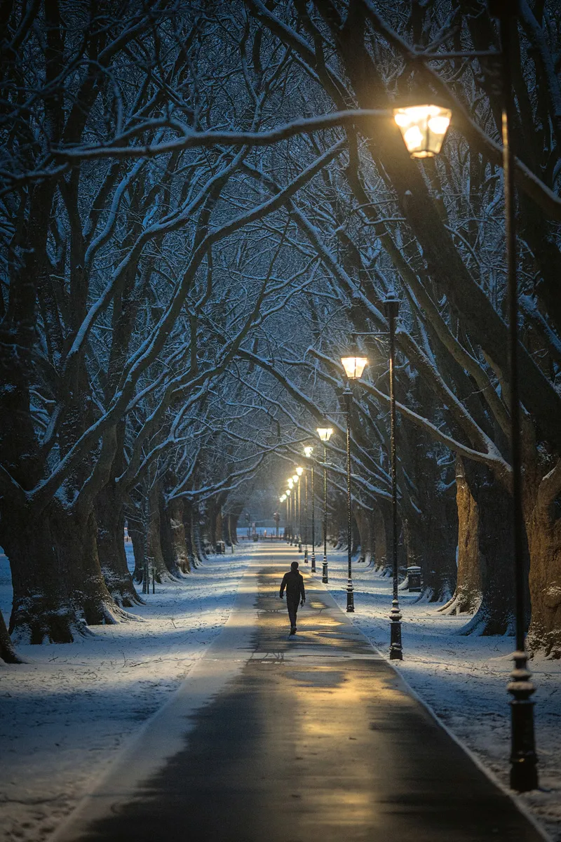 Snowy winter night with street lights
