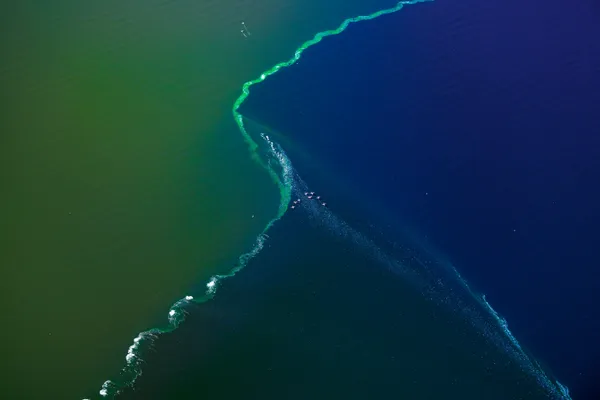 Wings of Contrast thumbnail