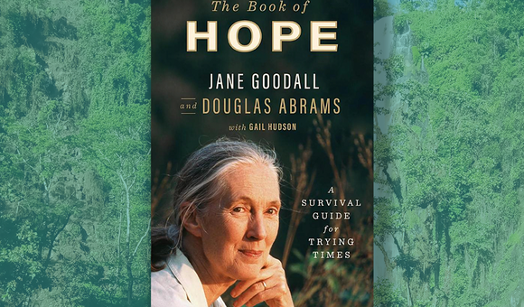 book of hope.png